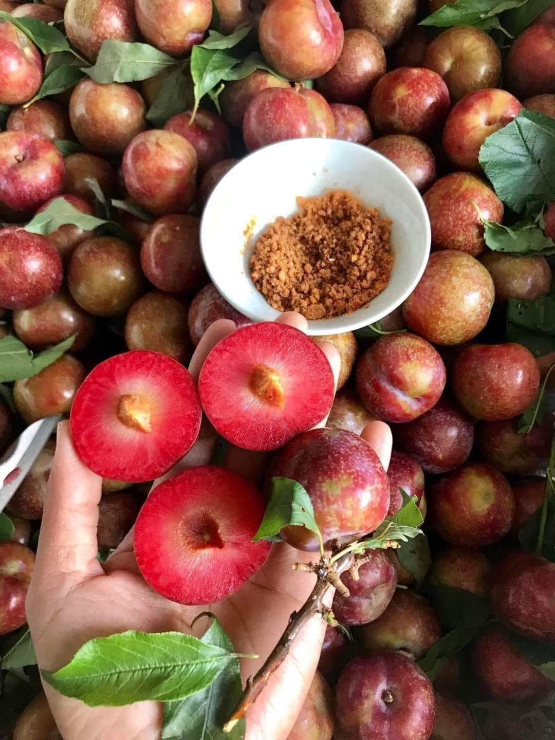 MẬN HÀ NỘI LẮC MUỐI TÂY NINH SIÊU CUỐN